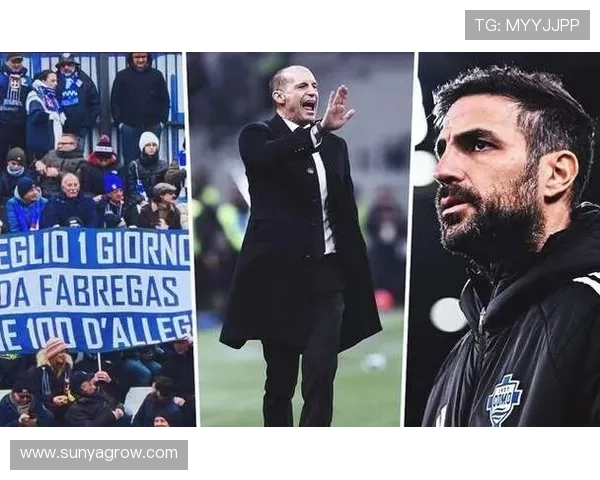 阿莱格里称法布雷加斯具备成功潜力