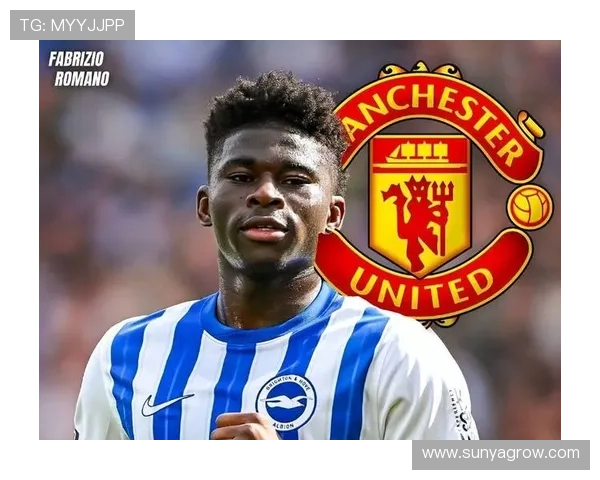 巴莱巴盼加盟曼联布莱顿不松口